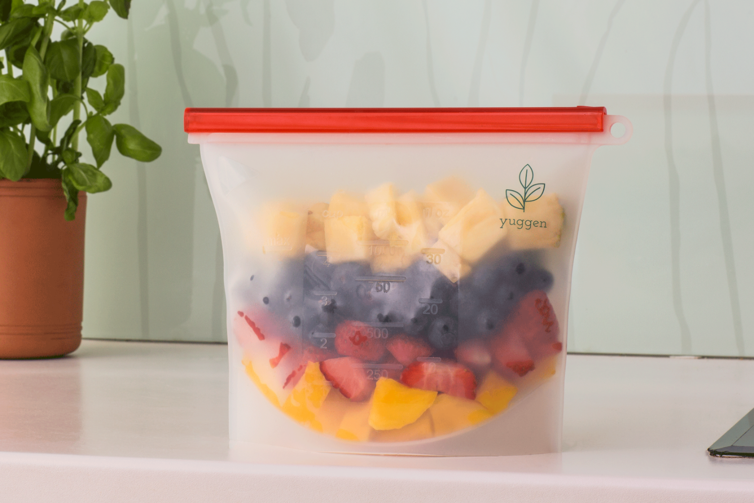 Reusable Silicone 'Ziplock' Bags  /  Classic Bundle - Yuggen #Bethechange